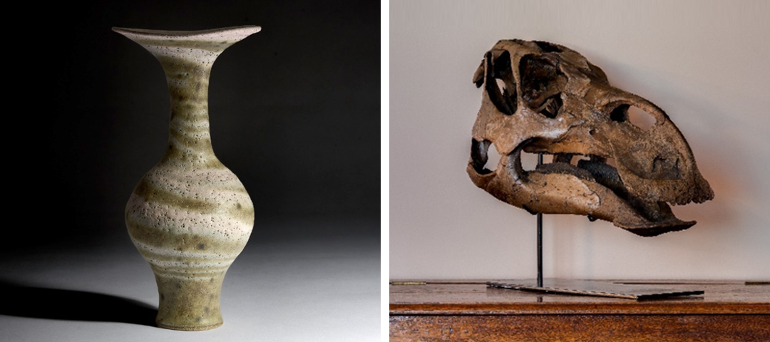 Hand-thrown ceramic vessel with a softly tapered neck shown alongside a mounted natural history skull, illustrating the range of sculptural and collectible objects featured at The Decorative Fair.